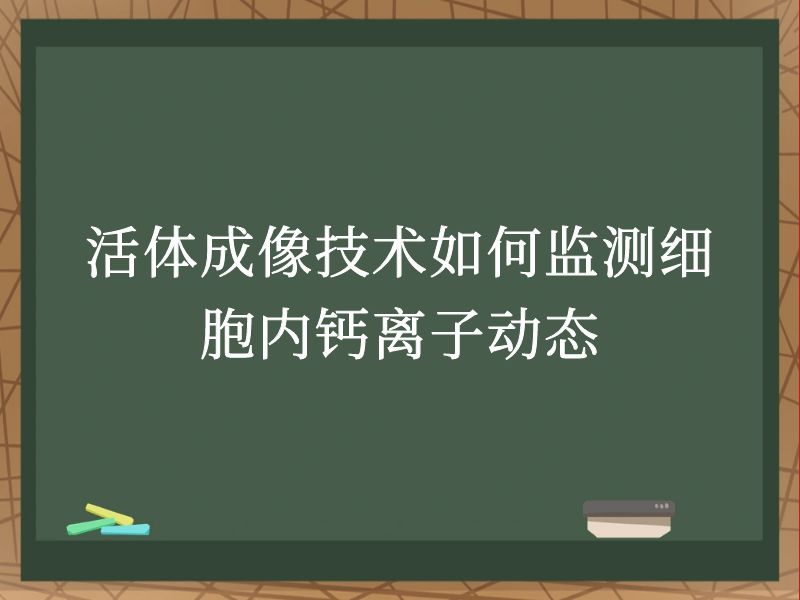 活体成像技术如何监测细胞内钙离子动态